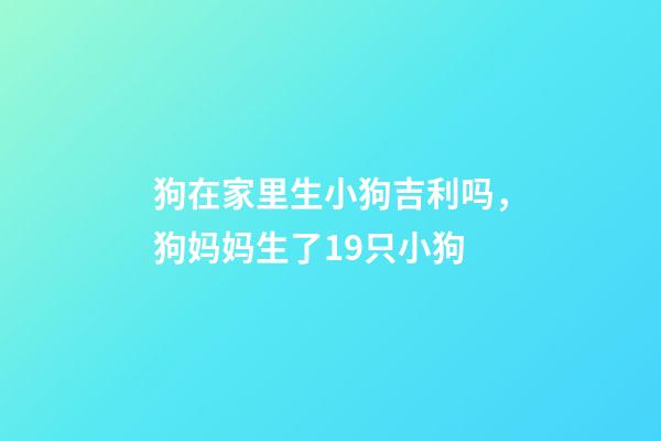 狗在家里生小狗吉利吗，狗妈妈生了19只小狗-第1张-观点-玄机派