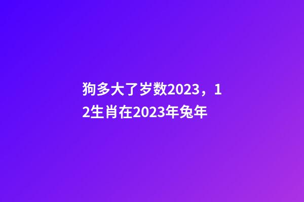 狗多大了岁数2023，12生肖在2023年兔年