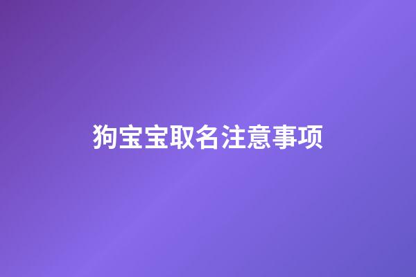 狗宝宝取名注意事项(狗宝宝取什么名字好听)-第1张-宝宝起名-玄机派