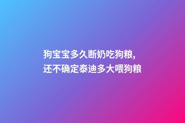 狗宝宝多久断奶吃狗粮,还不确定泰迪多大喂狗粮-第1张-观点-玄机派