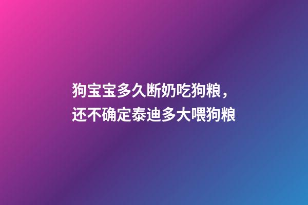 狗宝宝多久断奶吃狗粮，还不确定泰迪多大喂狗粮-第1张-观点-玄机派