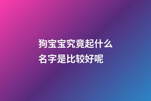 狗宝宝究竟起什么名字是比较好呢