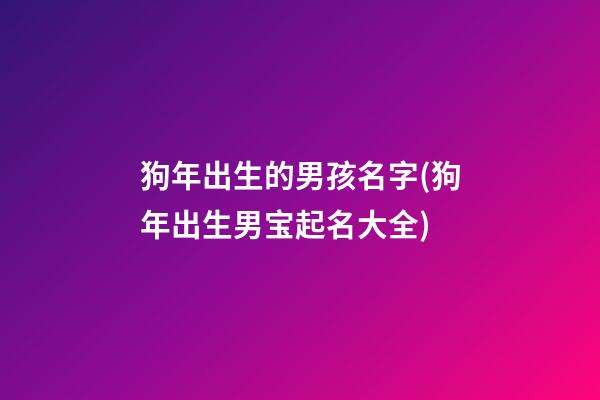 狗年出生的男孩名字(狗年出生男宝起名大全)