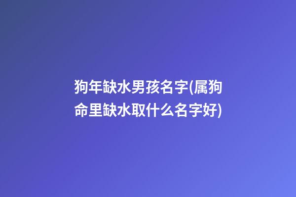 狗年缺水男孩名字(属狗命里缺水取什么名字好)