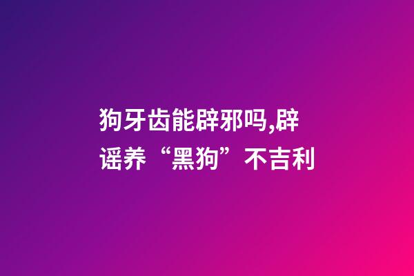 狗牙齿能辟邪吗,辟谣养“黑狗”不吉利-第1张-观点-玄机派