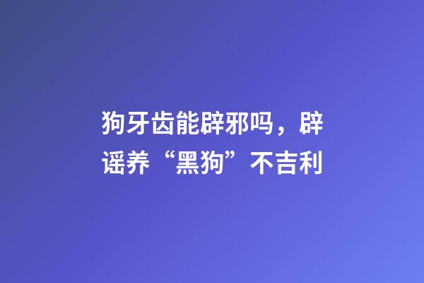 狗牙齿能辟邪吗，辟谣养“黑狗”不吉利-第1张-观点-玄机派
