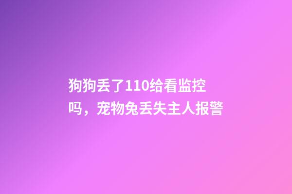 狗狗丢了110给看监控吗，宠物兔丢失主人报警-第1张-观点-玄机派