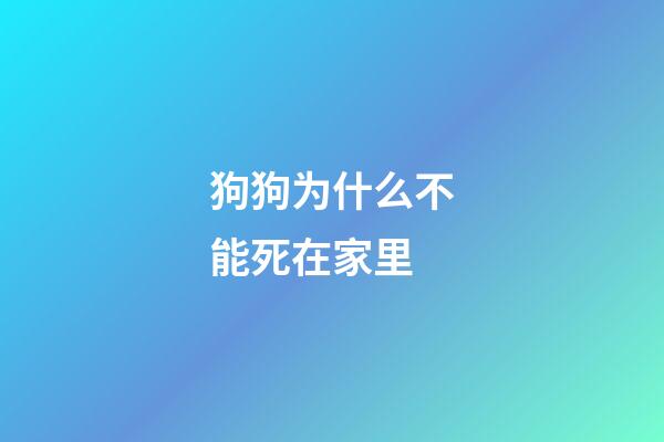 狗狗为什么不能死在家里