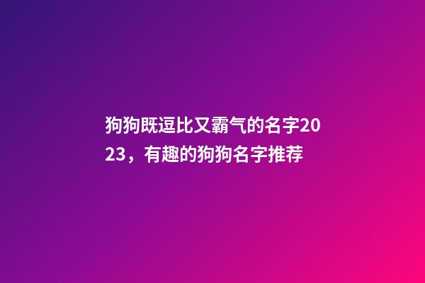 狗狗既逗比又霸气的名字2023，有趣的狗狗名字推荐