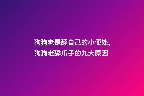 狗狗老是舔自己的小便处,狗狗老舔爪子的九大原因-第1张-观点-玄机派