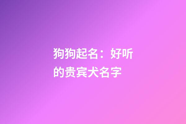 狗狗起名：好听的贵宾犬名字