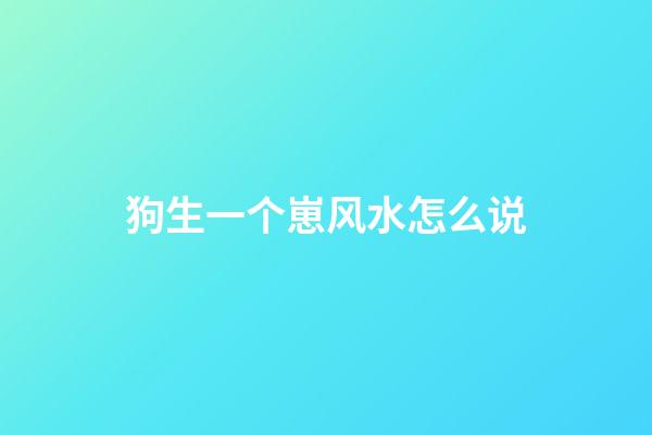 狗生一个崽风水怎么说