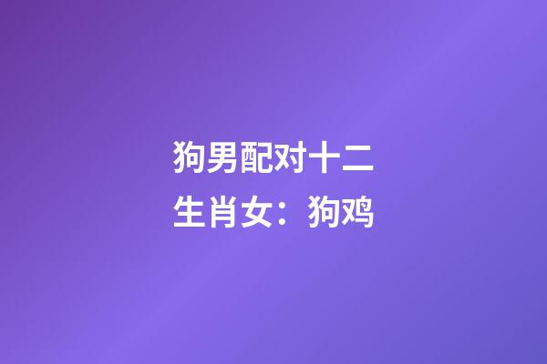 狗男配对十二生肖女：狗+鸡