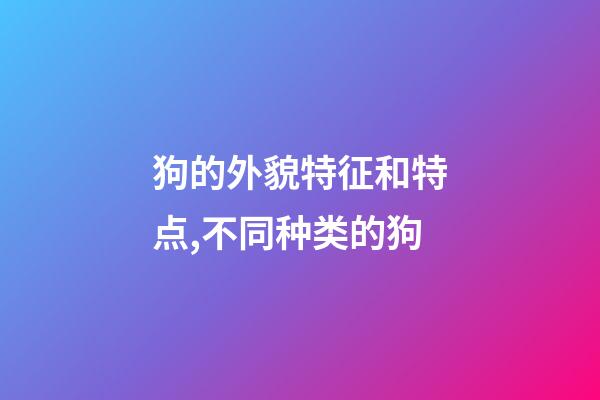 狗的外貌特征和特点,不同种类的狗-第1张-观点-玄机派