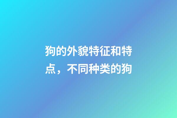 狗的外貌特征和特点，不同种类的狗-第1张-观点-玄机派