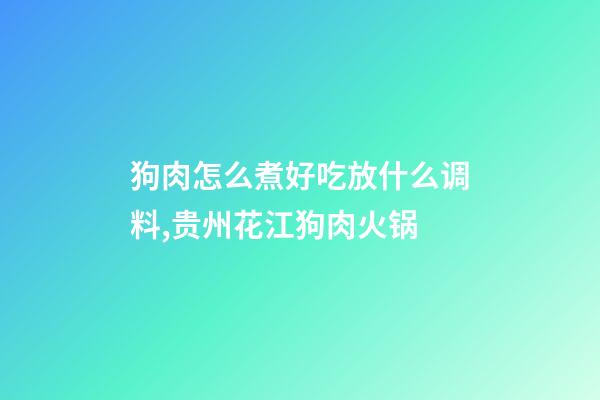 狗肉怎么煮好吃放什么调料,贵州花江狗肉火锅(附专用蘸水配方制作)-第1张-观点-玄机派