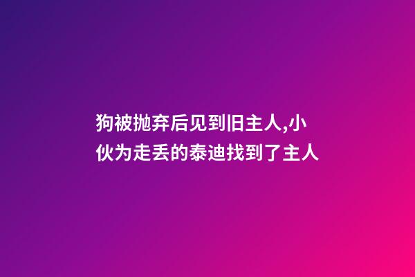 狗被抛弃后见到旧主人,小伙为走丢的泰迪找到了主人-第1张-观点-玄机派