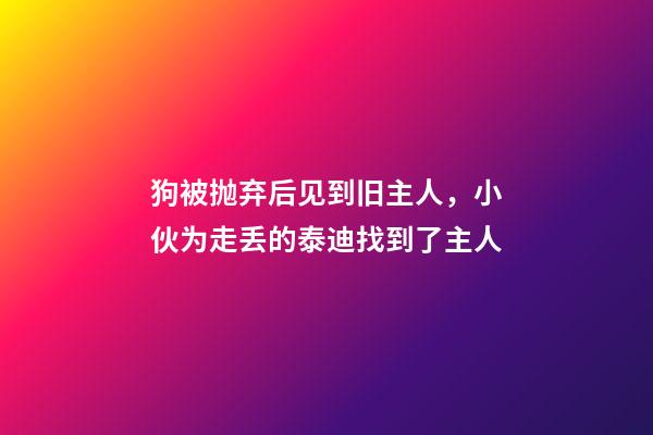 狗被抛弃后见到旧主人，小伙为走丢的泰迪找到了主人-第1张-观点-玄机派