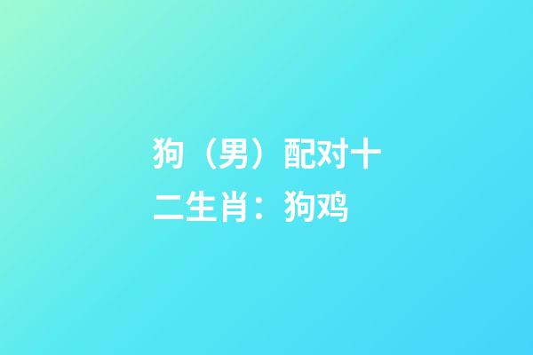 狗（男）配对十二生肖：狗+鸡