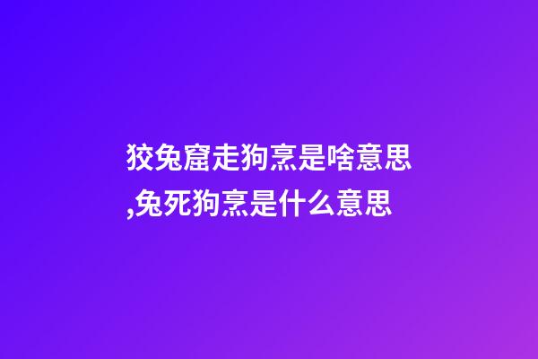 狡兔窟走狗烹是啥意思,兔死狗烹是什么意思-第1张-观点-玄机派