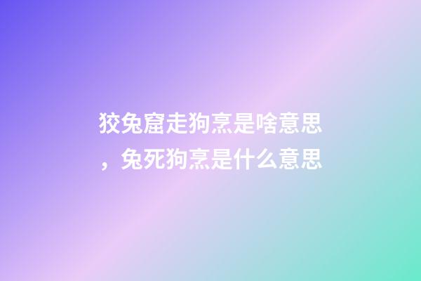狡兔窟走狗烹是啥意思，兔死狗烹是什么意思-第1张-观点-玄机派