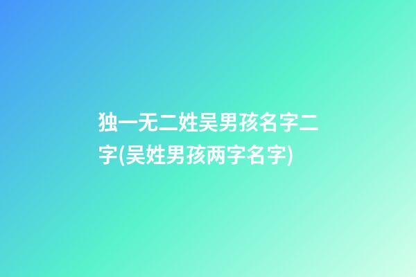 独一无二姓吴男孩名字二字(吴姓男孩两字名字)