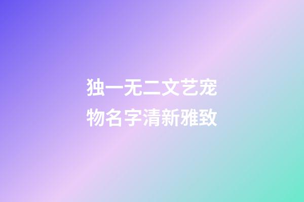 独一无二文艺宠物名字清新雅致