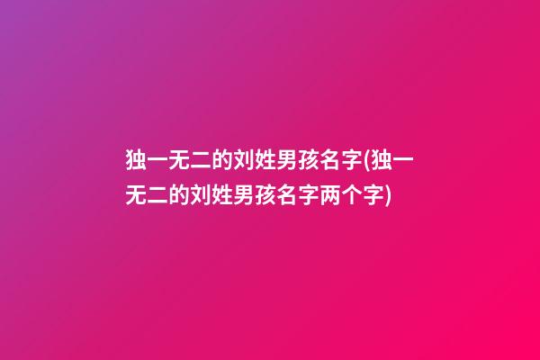 独一无二的刘姓男孩名字(独一无二的刘姓男孩名字两个字)