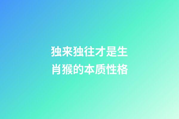 独来独往才是生肖猴的本质性格