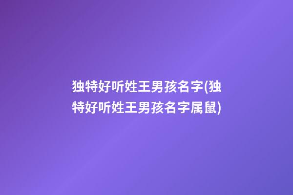 独特好听姓王男孩名字(独特好听姓王男孩名字属鼠)