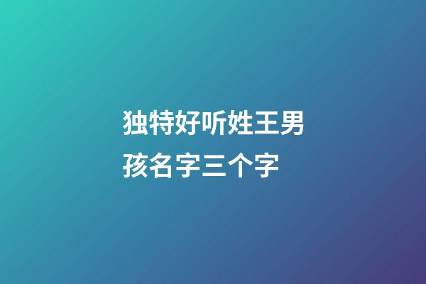 独特好听姓王男孩名字三个字