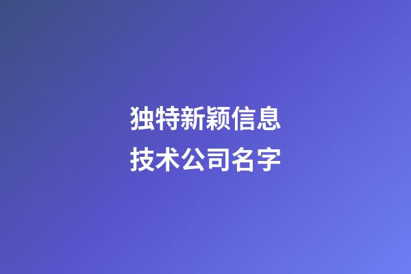 独特新颖信息技术公司名字