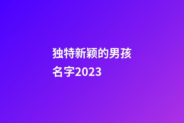 独特新颖的男孩名字2023