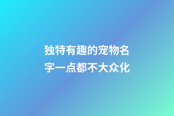 独特有趣的宠物名字一点都不大众化