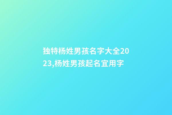 独特杨姓男孩名字大全2023,杨姓男孩起名宜用字