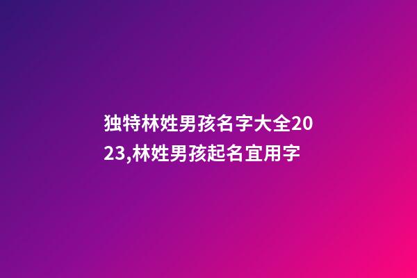 独特林姓男孩名字大全2023,林姓男孩起名宜用字