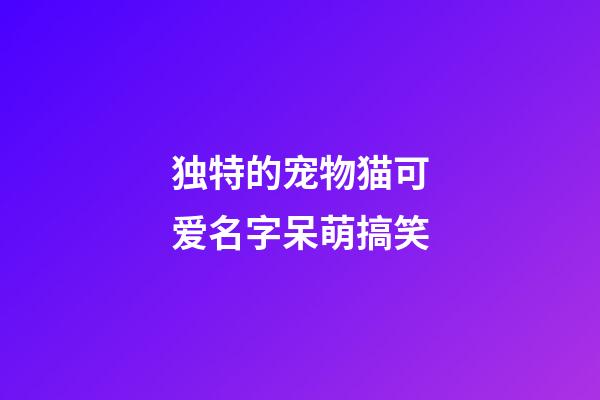 独特的宠物猫可爱名字呆萌搞笑