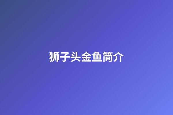 狮子头金鱼简介