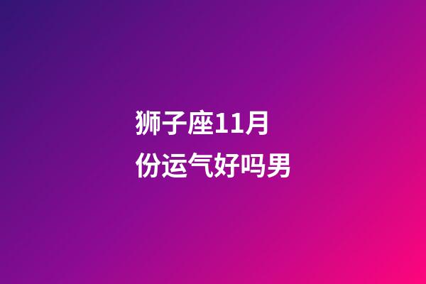 狮子座11月份运气好吗男-第1张-星座运势-玄机派