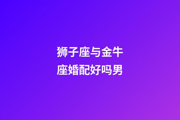 狮子座与金牛座婚配好吗男-第1张-星座运势-玄机派