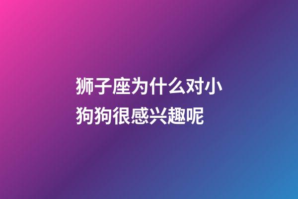 狮子座为什么对小狗狗很感兴趣呢-第1张-星座运势-玄机派