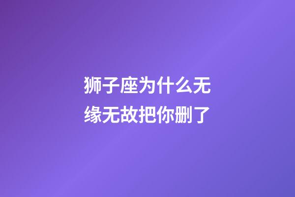 狮子座为什么无缘无故把你删了-第1张-星座运势-玄机派