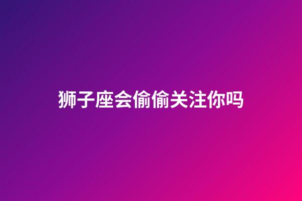 狮子座会偷偷关注你吗-第1张-星座运势-玄机派