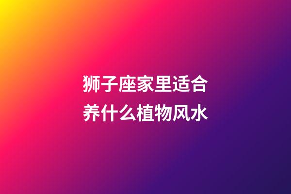 狮子座家里适合养什么植物风水-第1张-星座运势-玄机派