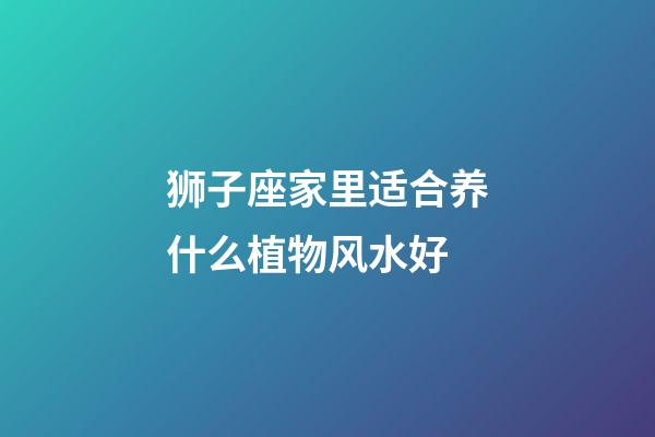 狮子座家里适合养什么植物风水好-第1张-星座运势-玄机派