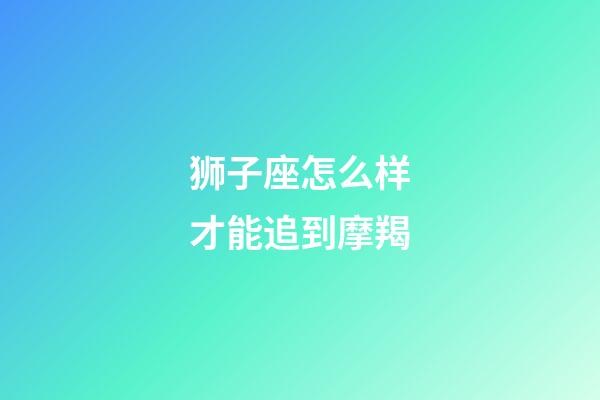 狮子座怎么样才能追到摩羯-第1张-星座运势-玄机派