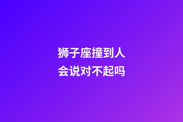 狮子座撞到人会说对不起吗-第1张-星座运势-玄机派