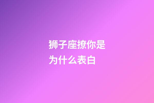 狮子座撩你是为什么表白-第1张-星座运势-玄机派