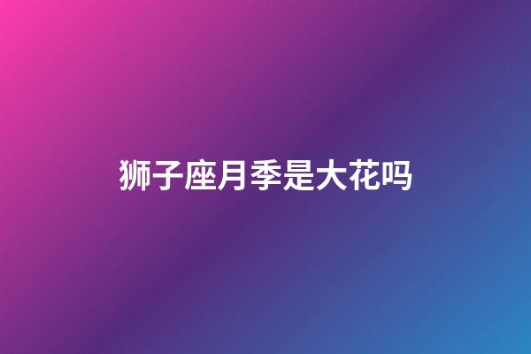 狮子座月季是大花吗-第1张-星座运势-玄机派