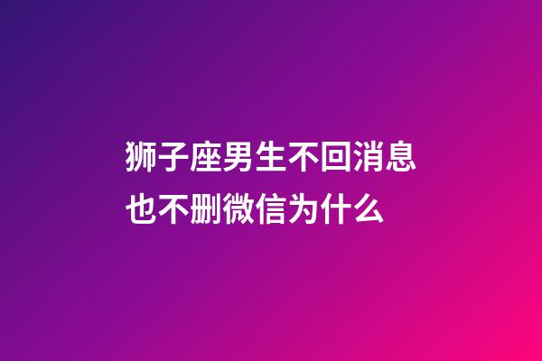 狮子座男生不回消息也不删微信为什么-第1张-星座运势-玄机派